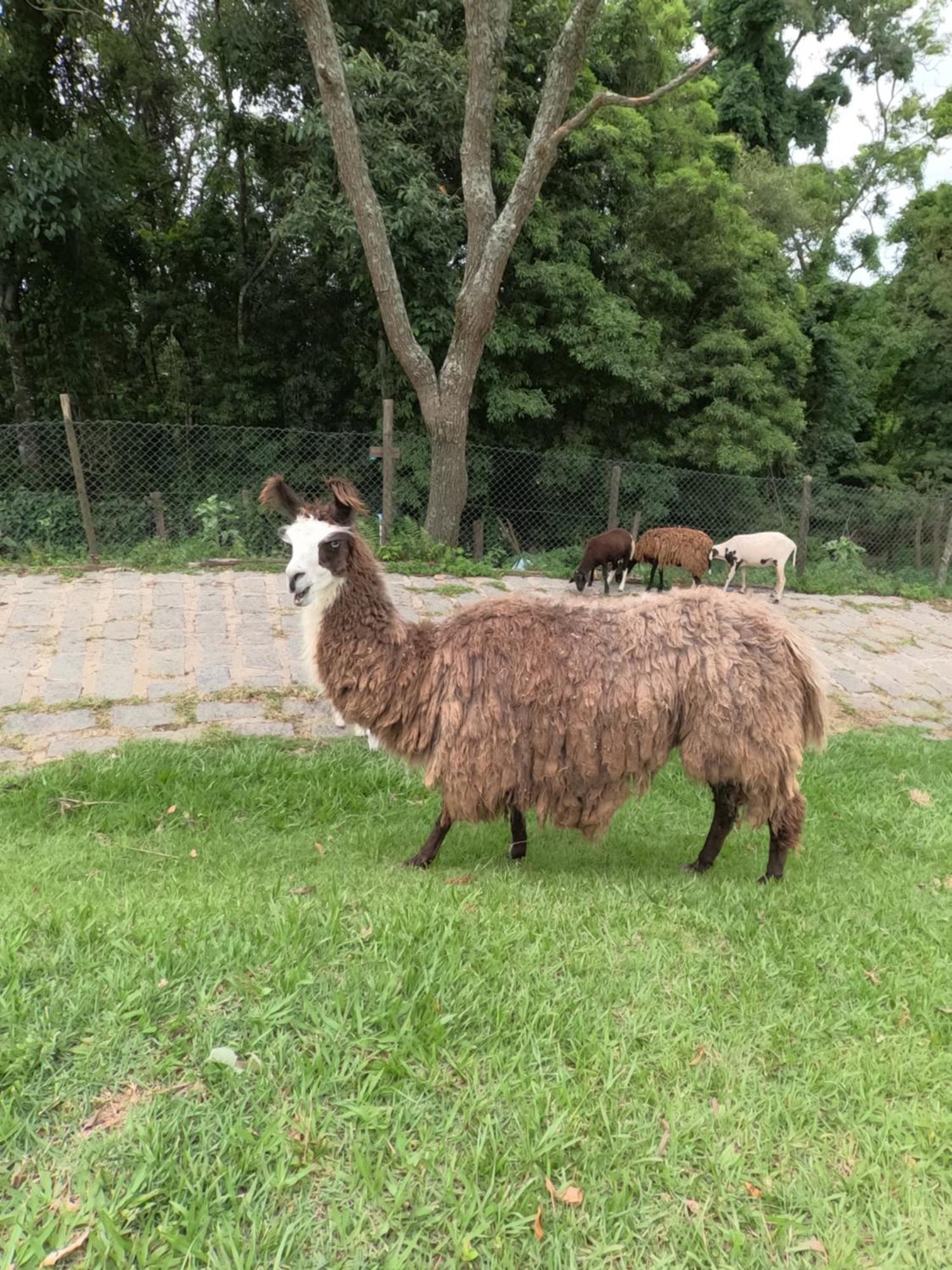 São Roque Aldeia Parque Pousada Rural מראה חיצוני תמונה