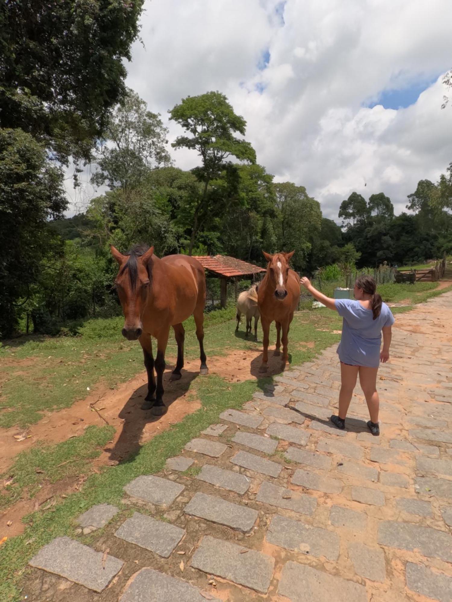 São Roque Aldeia Parque Pousada Rural מראה חיצוני תמונה